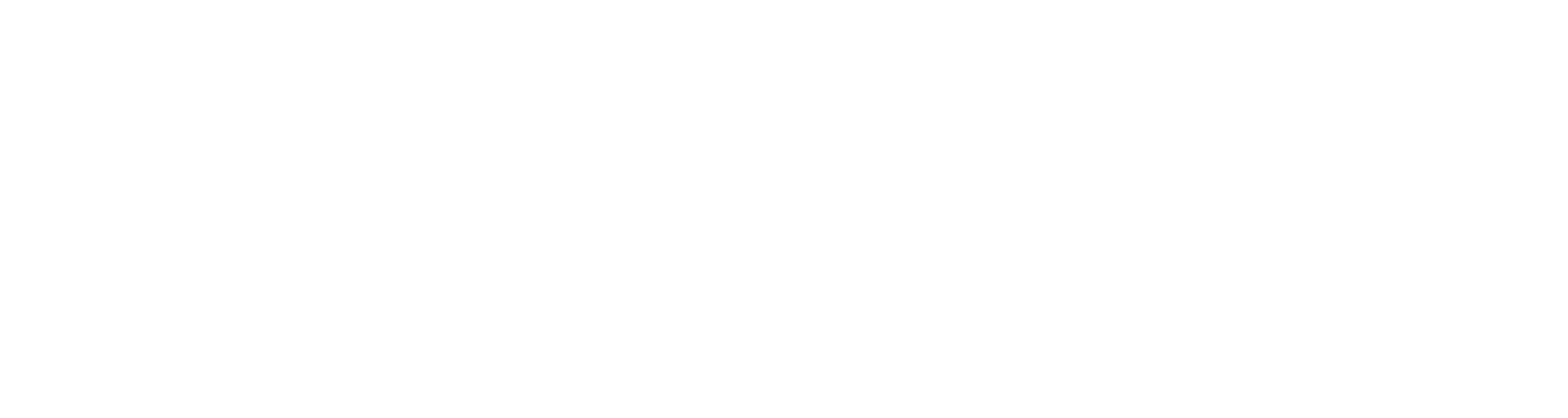 R+F FilterElements GmbH — Pile Cloth Filtration
